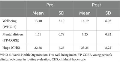 The Hummingbird Project year 2: decreasing distress and fostering flourishing in a pragmatic pre–post study